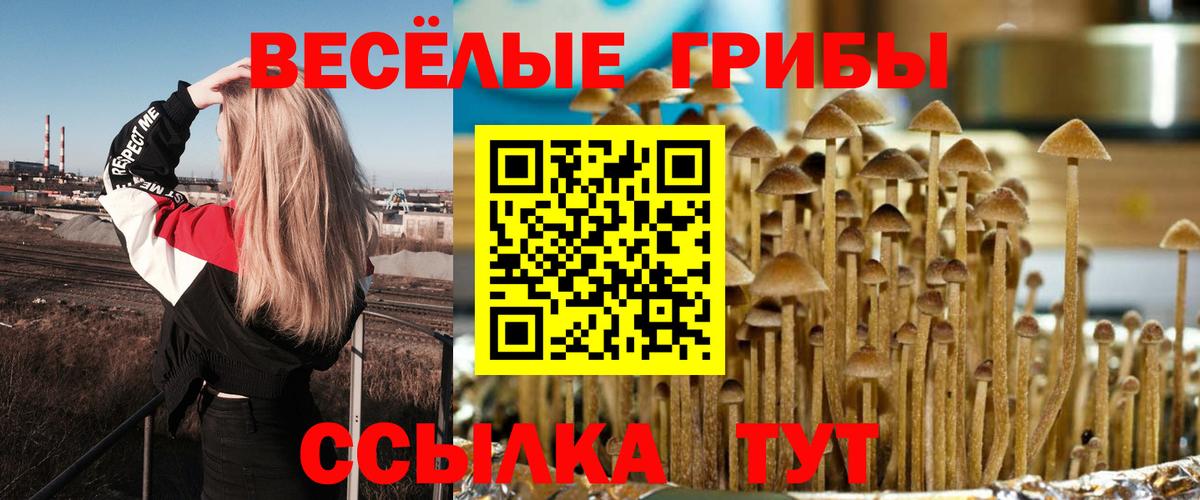 Усинск  Галлюциногенные грибы Psilocybine cubensis  Вход с VPN  Галлюциногенные грибы мухоморы 