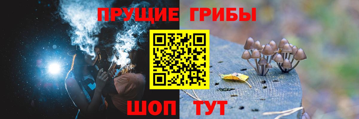 Псилоцибиновые грибы мицелий Усинск